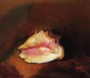 Odilon Redon The Shell USA oil painting reproduction